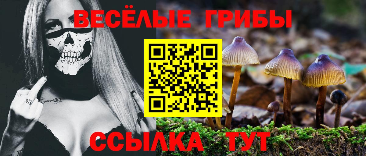 Бирск  Псилоцибиновые грибы Psilocybe  Вход с VPN  Псилоцибиновые грибы Magic Shrooms 